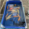 Transparente PVC-Teichfolie mit Edelstahlrahmen für einfache Montage, modernes Design für Fischzucht, 120 x 80 x 71 cm