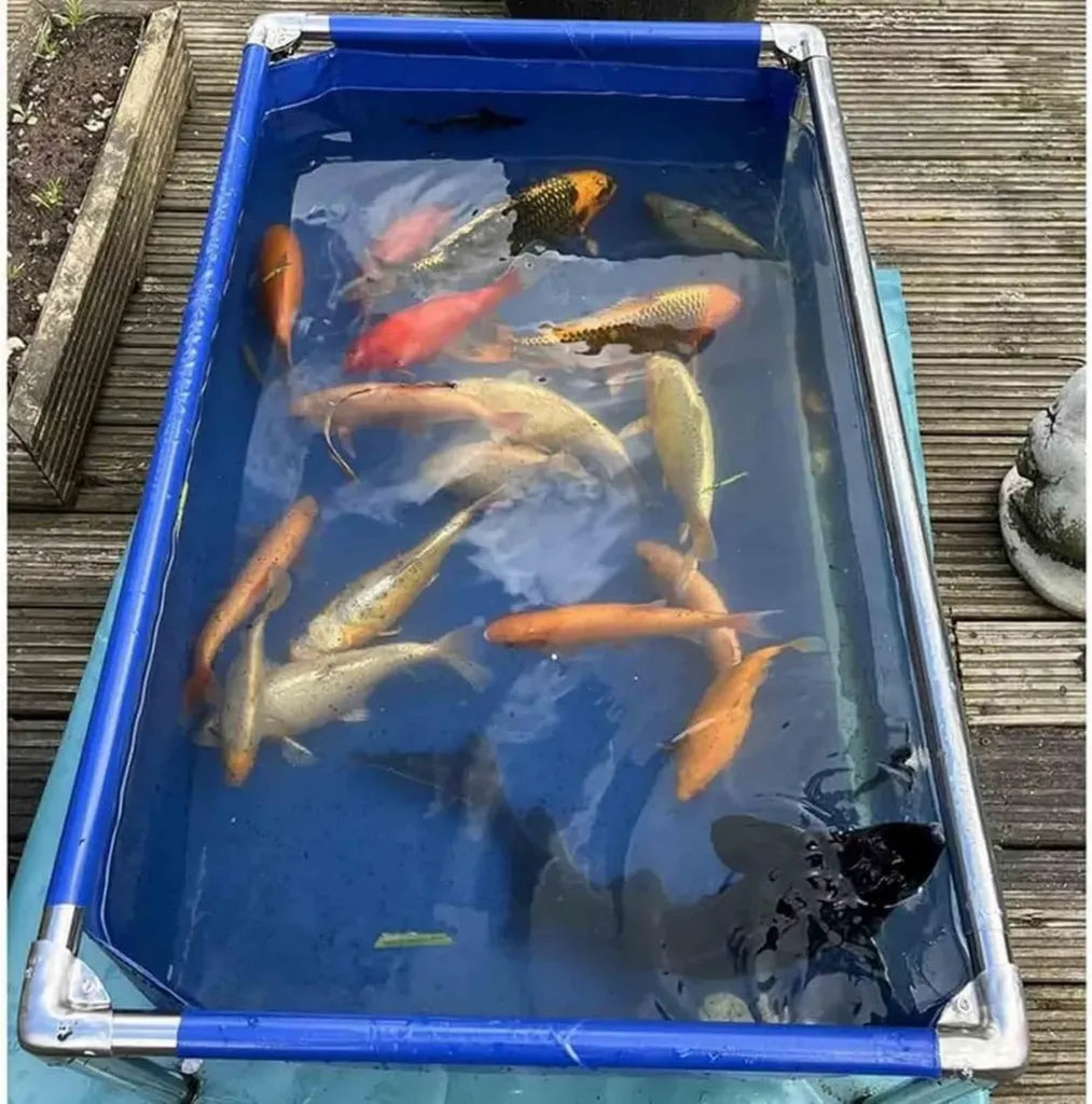 Transparente PVC-Teichfolie mit Edelstahlrahmen für einfache Montage, modernes Design für Fischzucht, 120 x 80 x 71 cm